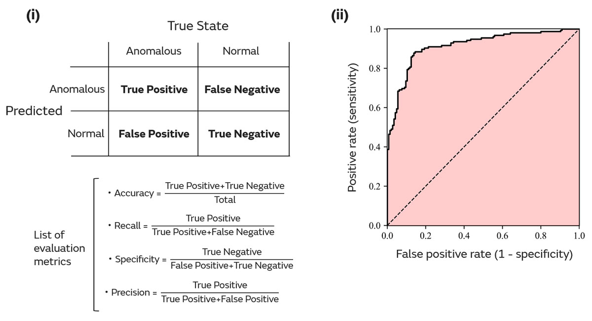 Definitions and conceptual diagrams of evaluation metrics