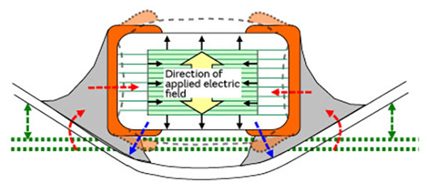Image of mechanism of acoustic noise