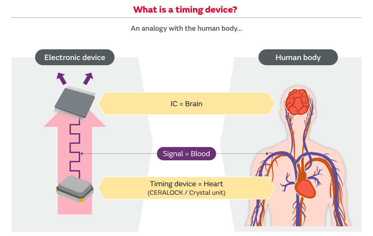 Using the human body as an analogy, the timing device plays the role of the heart.