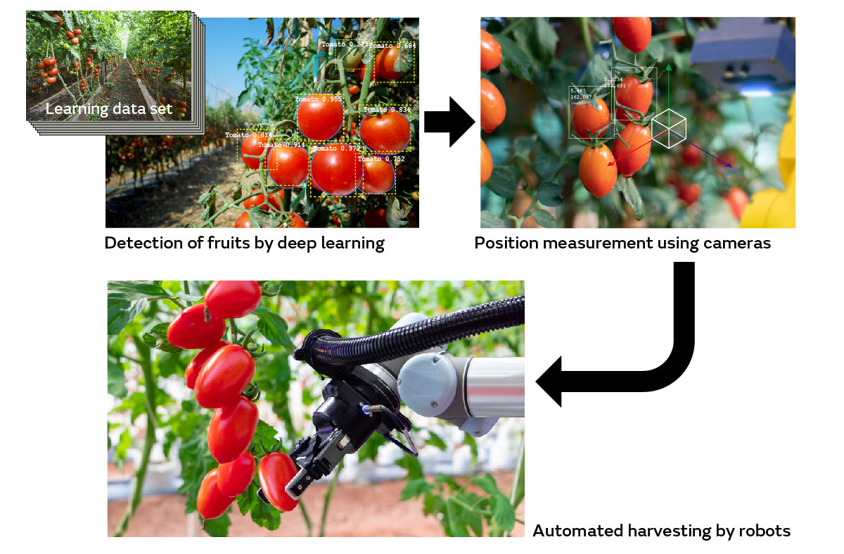 Image 4 of “Agri-Tech” Brings Out the Potential of Land and Crops