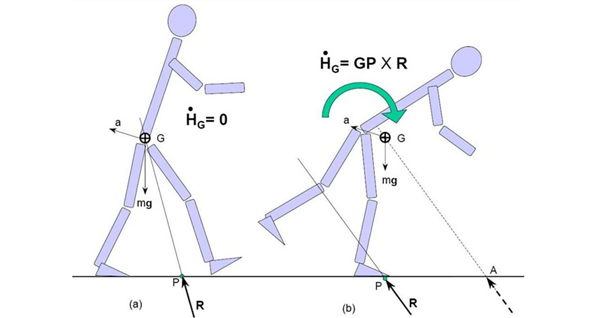 Angular Momentum in the Balance and Stability of Humanoid Robots; Image Credit: Ambarish Goswami