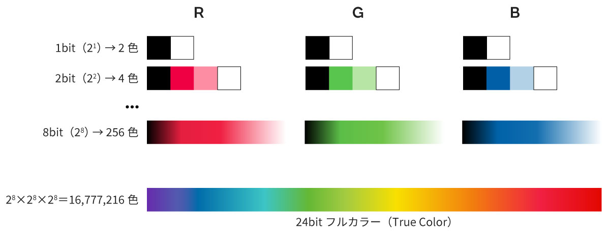 色情報のイメージ画像1
