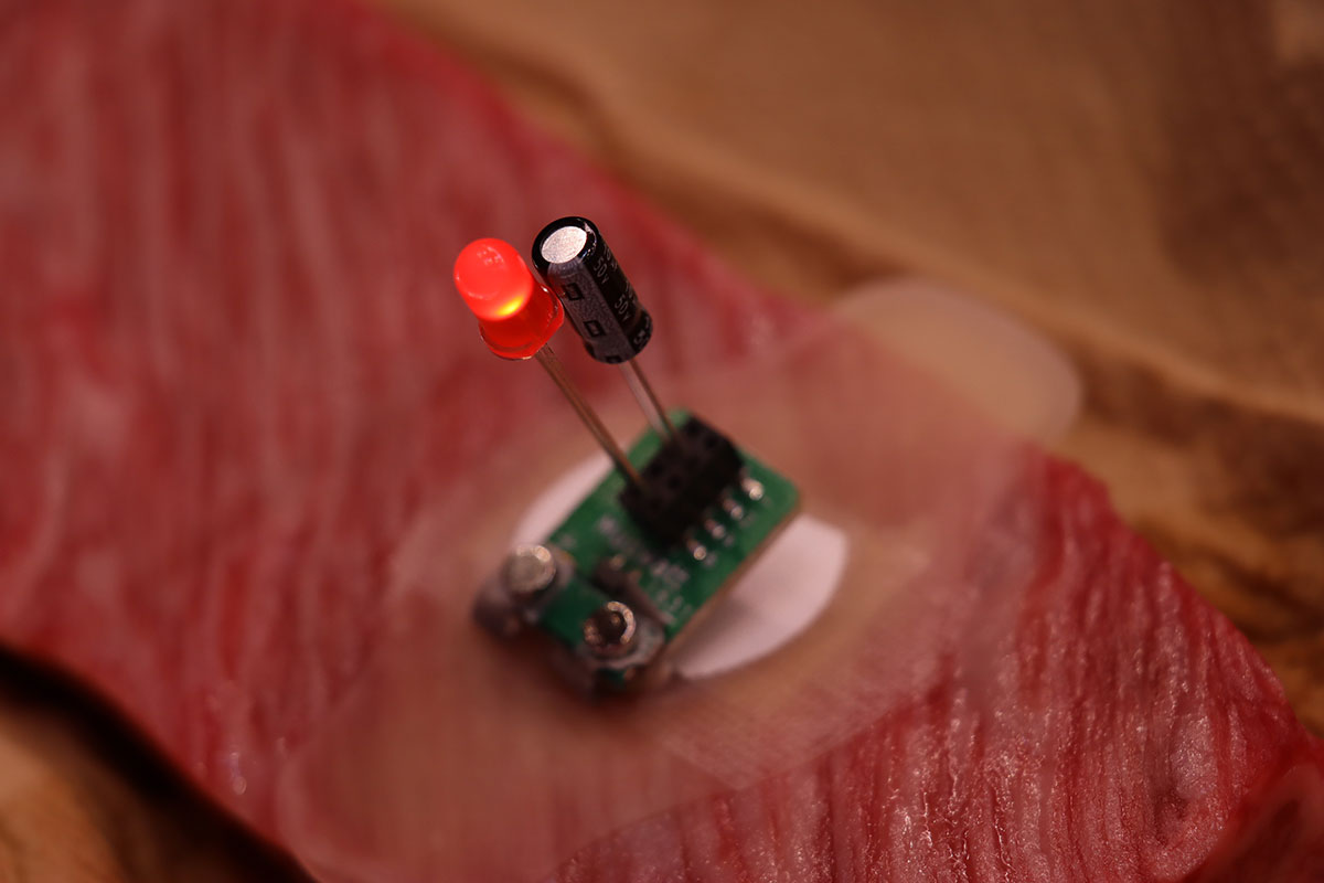 牛肉の脂肪分解によって生じたグリセロールに反応し、LEDが点灯
