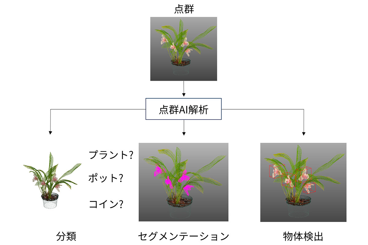 3D点群における3つの点群AI解析