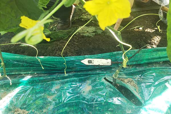 Image of Sensor before installation