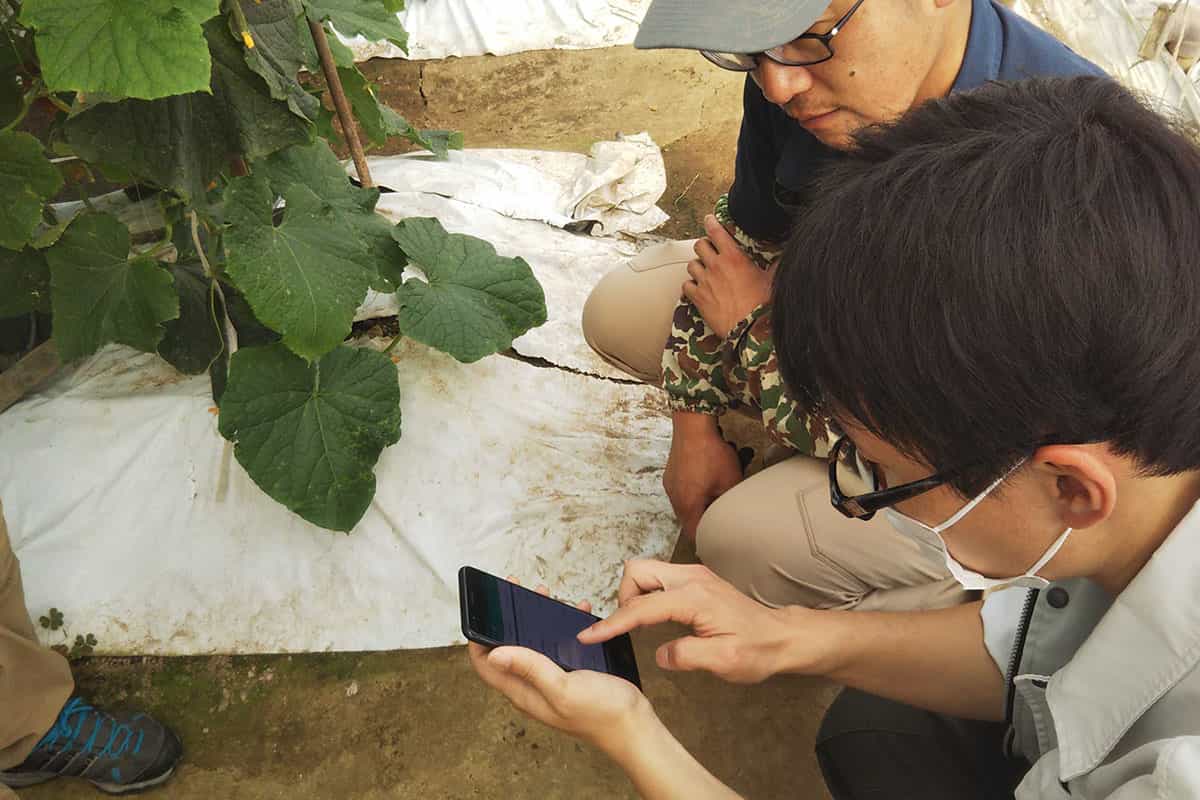 Image of Checking sensor data on a smartphone