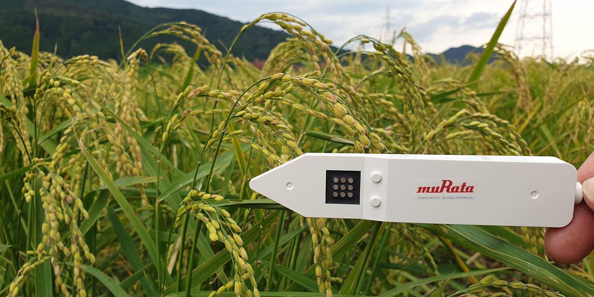 Main image of How Will Murata’s Soil Sensors Change Agriculture? Smarter Watering Management for Greenhouse Horticulture, Fruit Growing, and Outdoor Cultivation